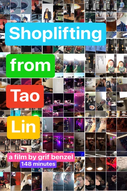 Shoplifting from Tao Lin постер
