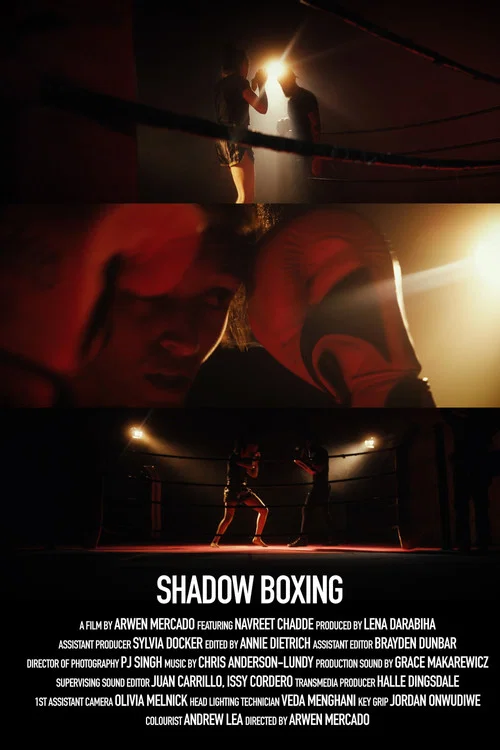 Shadow Boxing постер