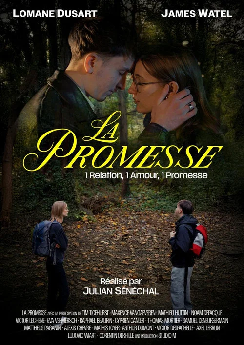 La Promesse постер