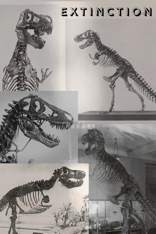 Extinction постер
