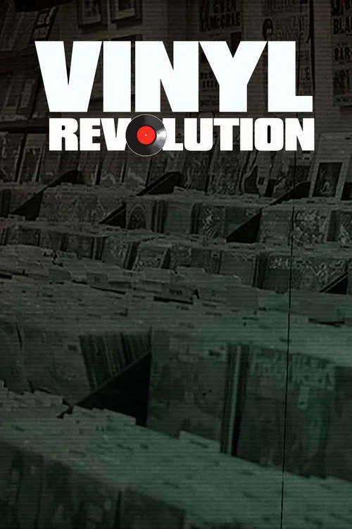 Vinyl Revolution постер