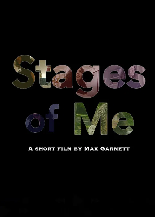 Stages of Me постер