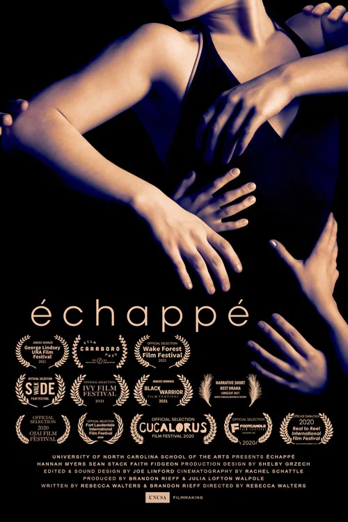 échappé постер