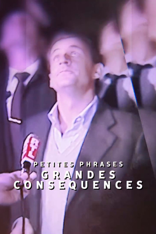 Petites phrases, grandes conséquences постер