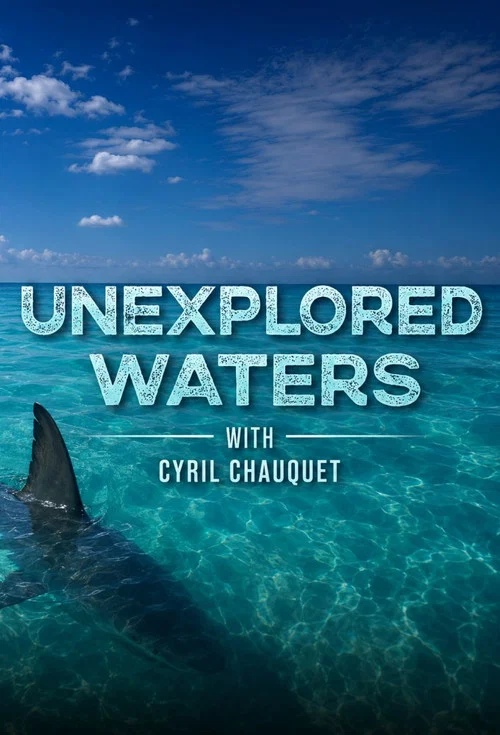 Unexplored Waters постер