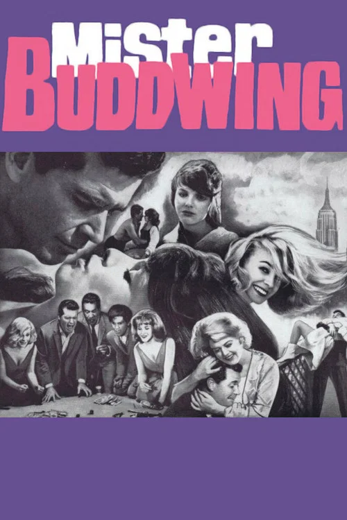 Mister Buddwing постер