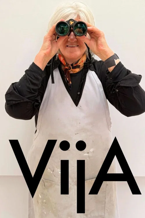 Vija постер