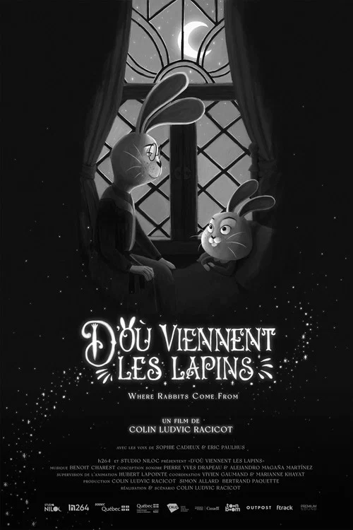 D’où viennent les lapins постер