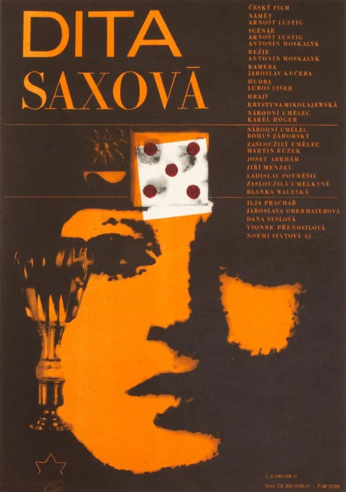 Dita Saxová постер