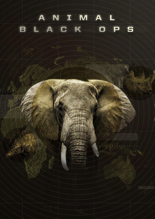 Animal Black Ops постер