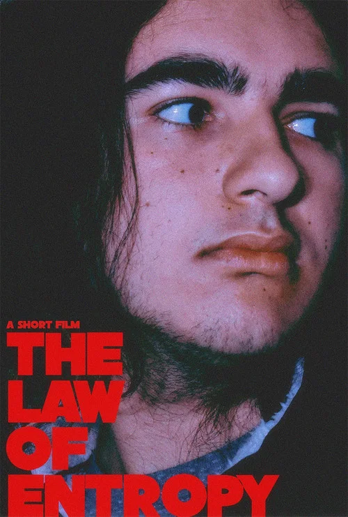 The Law of Entropy постер
