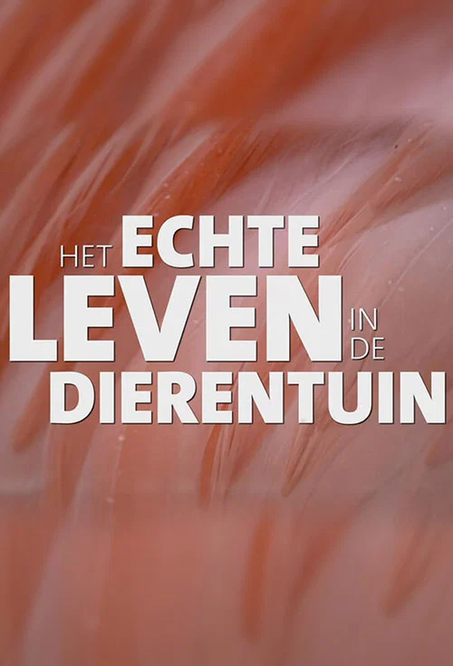 Het echte leven in de dierentuin постер