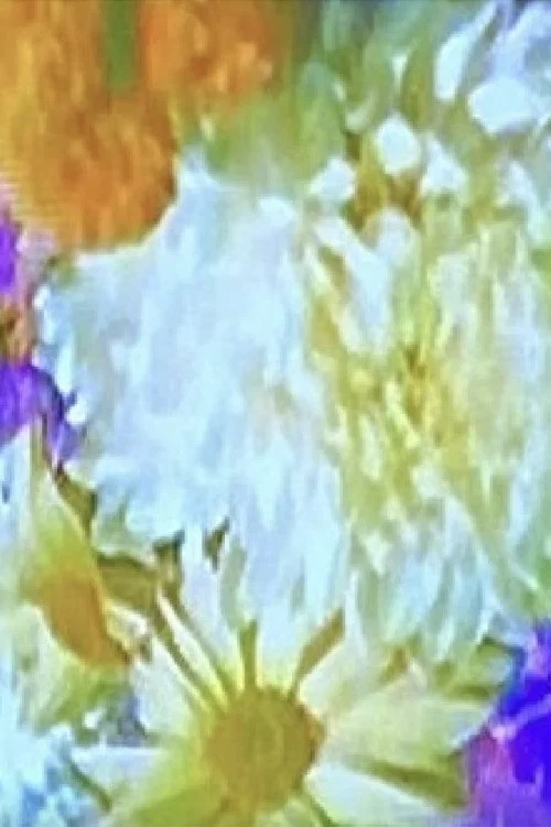 Meta-Marcel: Window (Flowers) постер
