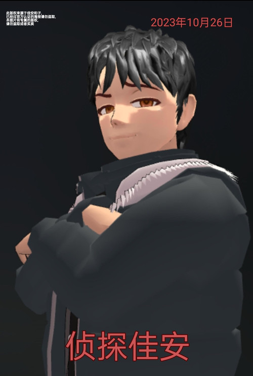 侦探佳安 постер