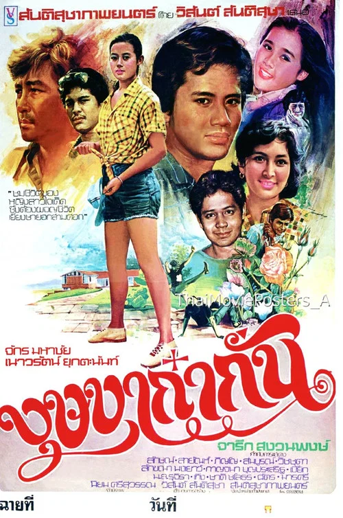 บุษบาก๋ากั่น постер