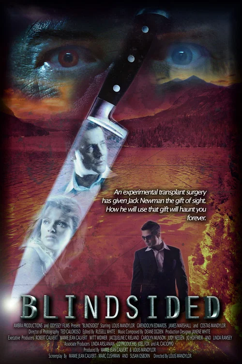 Blindsided постер