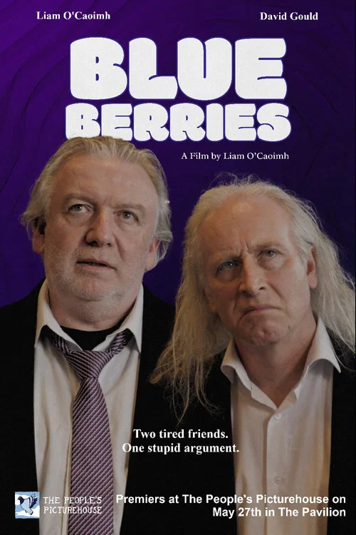 Blueberries постер