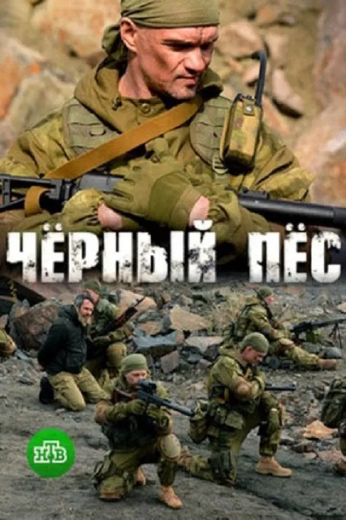 Черный пес постер