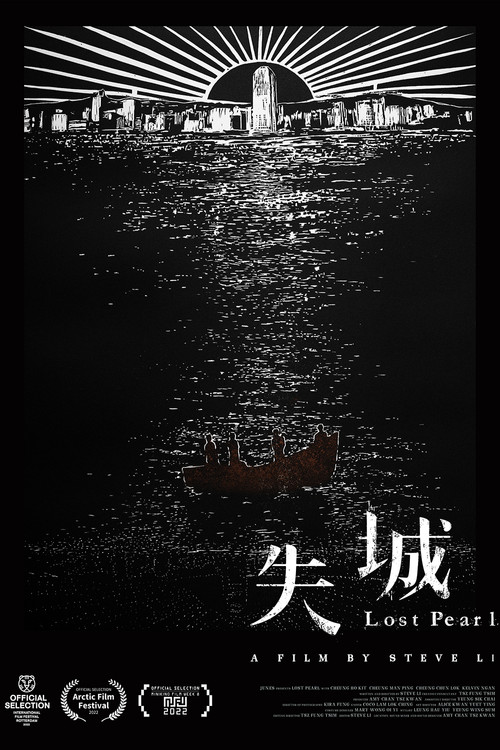 失城 постер