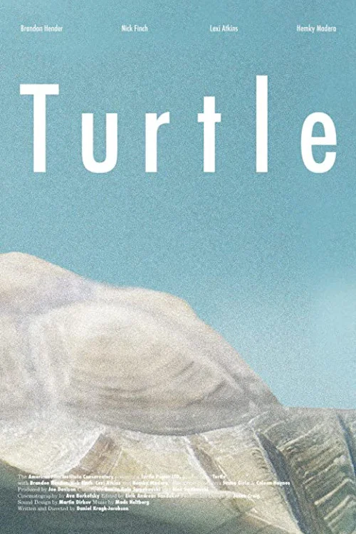 Turtle постер