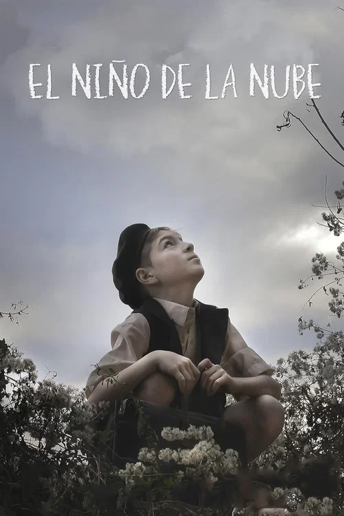 El niño de la nube постер