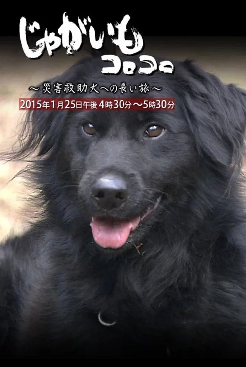 じゃがいもコロコロ～災害救助犬への長い旅～ постер