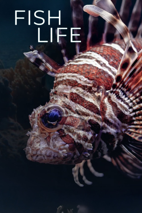 Fish Life постер