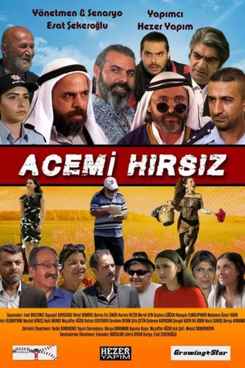 Acemi Hırsız постер