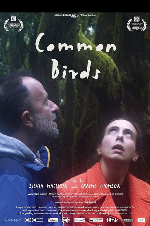 Common Birds постер