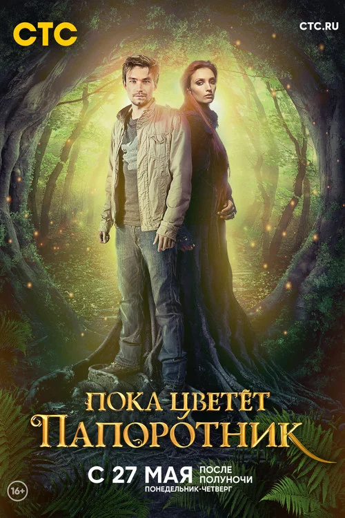 Пока цветёт папоротник постер