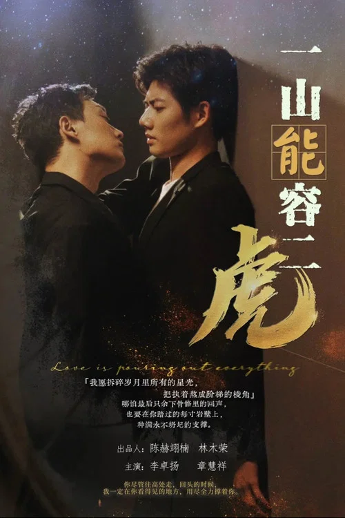 一山能容二虎 постер