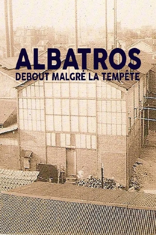 Albatros, debout malgré la tempête постер