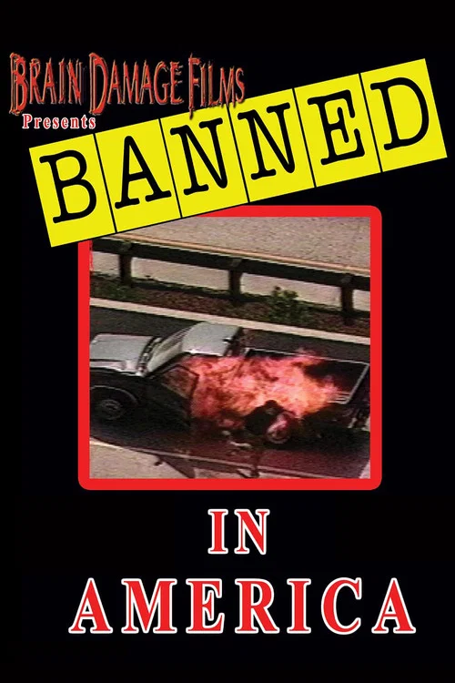 Banned! In America I постер