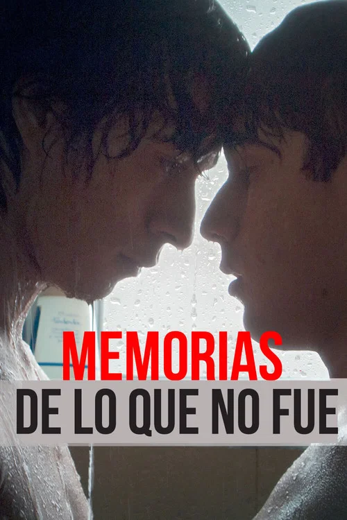 Memorias de lo que no fue постер