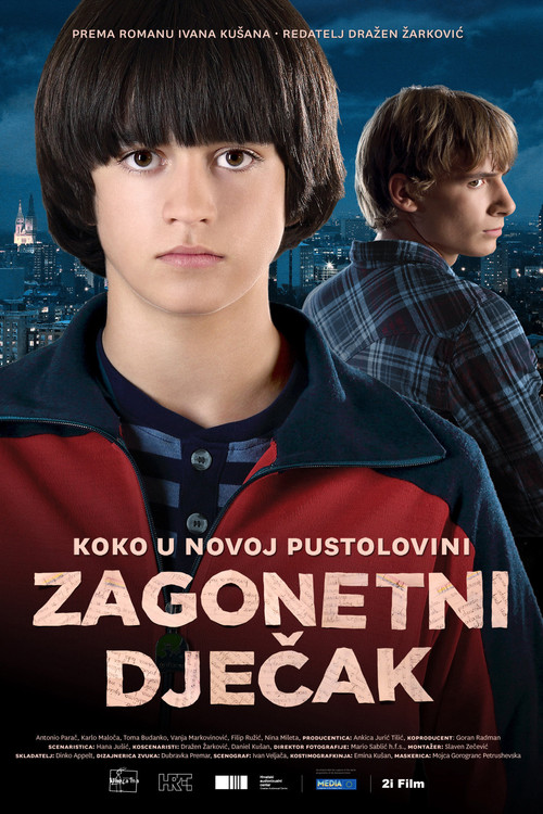Zagonetni dječak постер