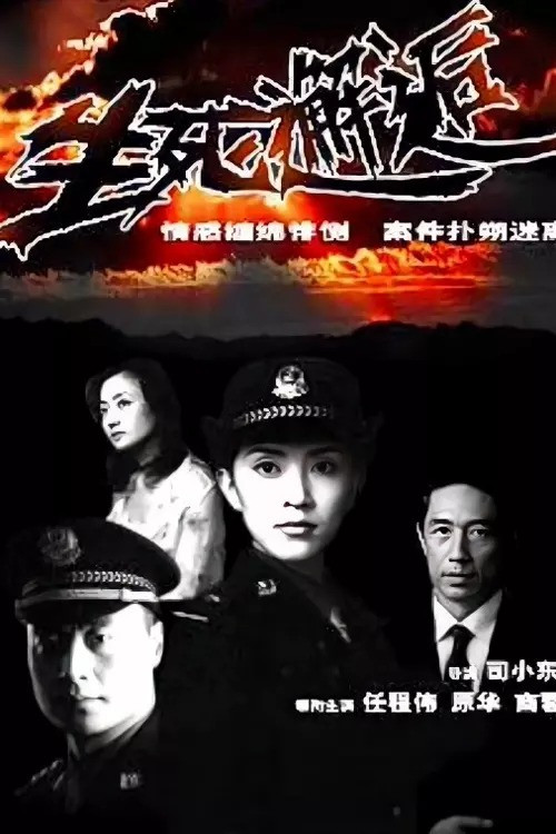生死邂逅 постер