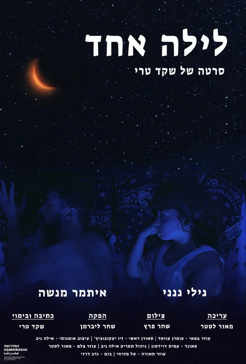 לילה אחד постер