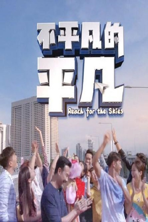 不平凡的平凡 постер