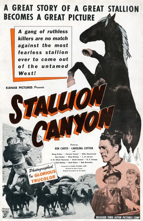 Stallion Canyon постер