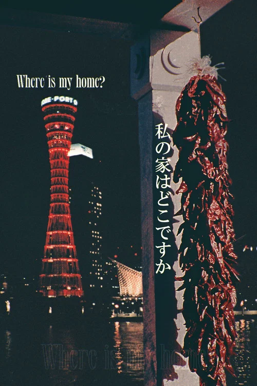 Where Is My Home? постер