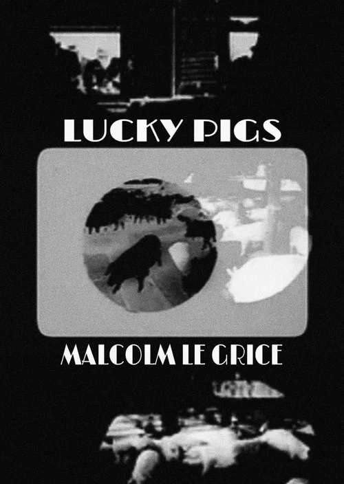 Lucky Pigs постер