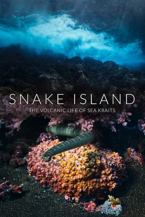 Snake Island: The Volcanic Life of Sea Kraits постер