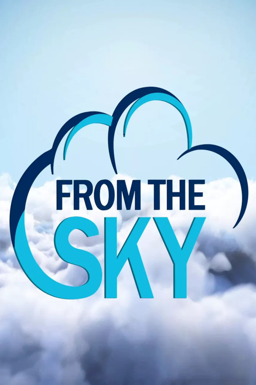 From the Sky постер