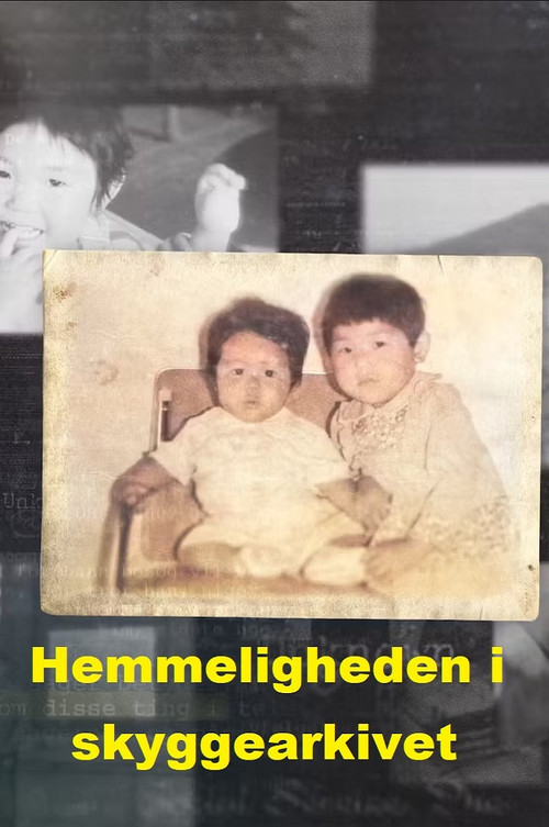 Hemmeligheden i skyggearkivet постер