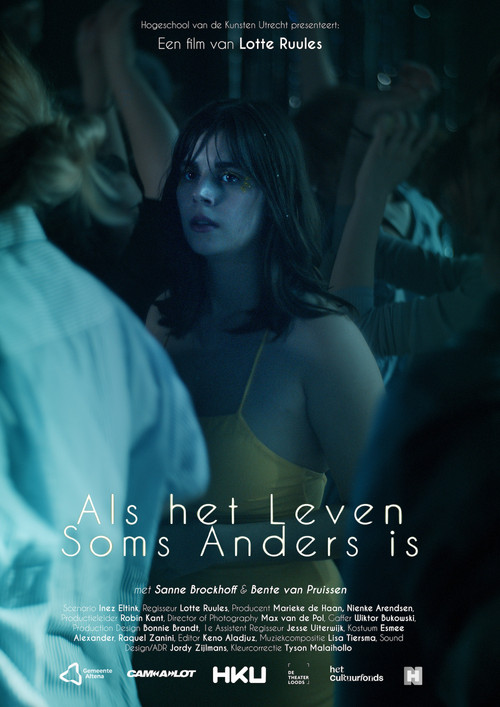 Als Het Leven Soms Anders Is постер