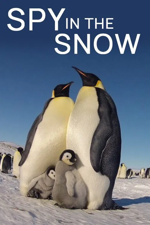 Spy in the Snow постер