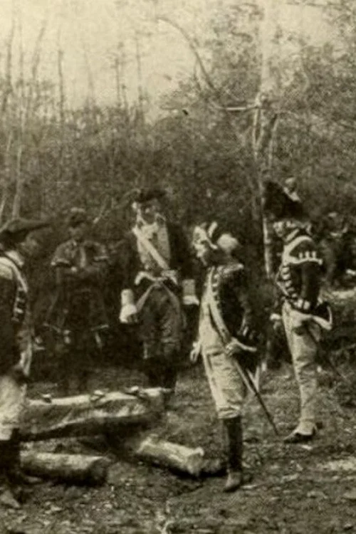 The Swamp Fox постер