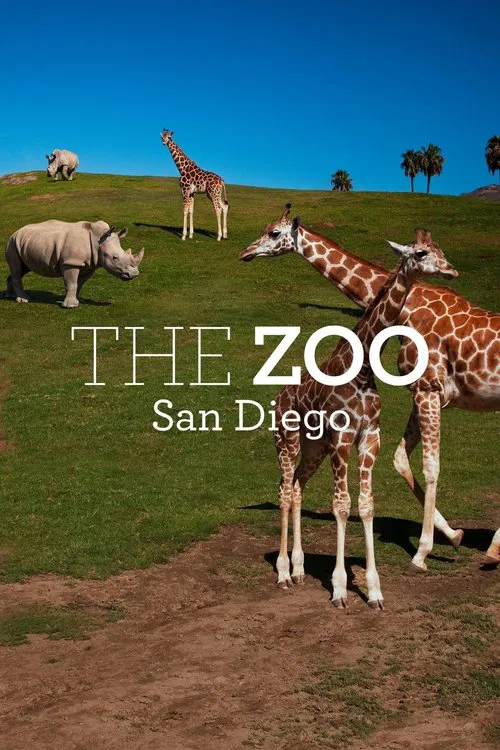 The Zoo: San Diego постер