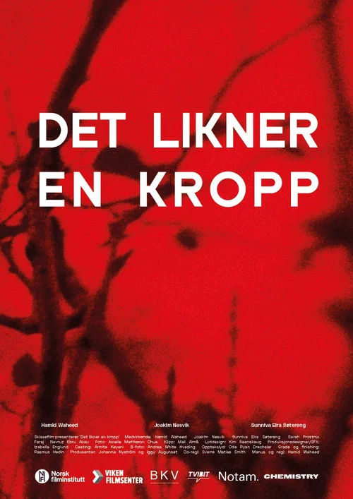 Det likner en kropp постер