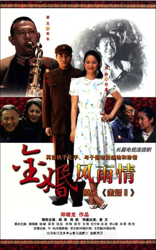 金婚·风雨情 постер